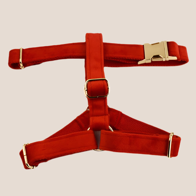 Red Velvet Engraved Pet Set