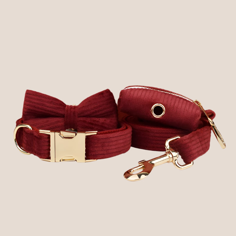 Personalized Pet ID Collar, Harness Leash & Accessories Set Maroon Corduroy