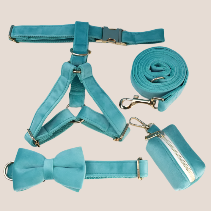 Turquoise Velvet Engraved Pet Set
