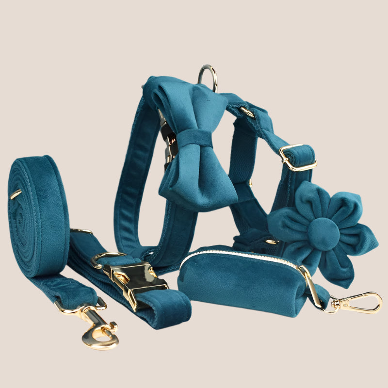 Ocean Blue Velvet Engraved Pet Set