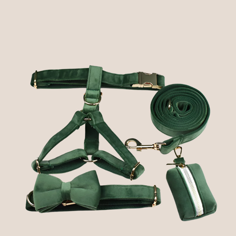 Forest Green Velvet Engraved Pet Set