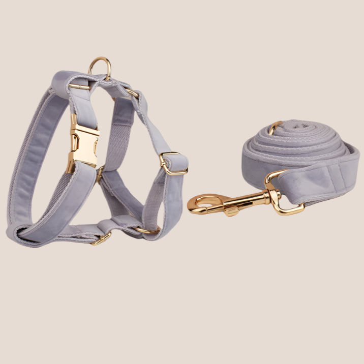 Personalized Pet ID Collar, Harness Leash & Accessories Set Lilac Velvet