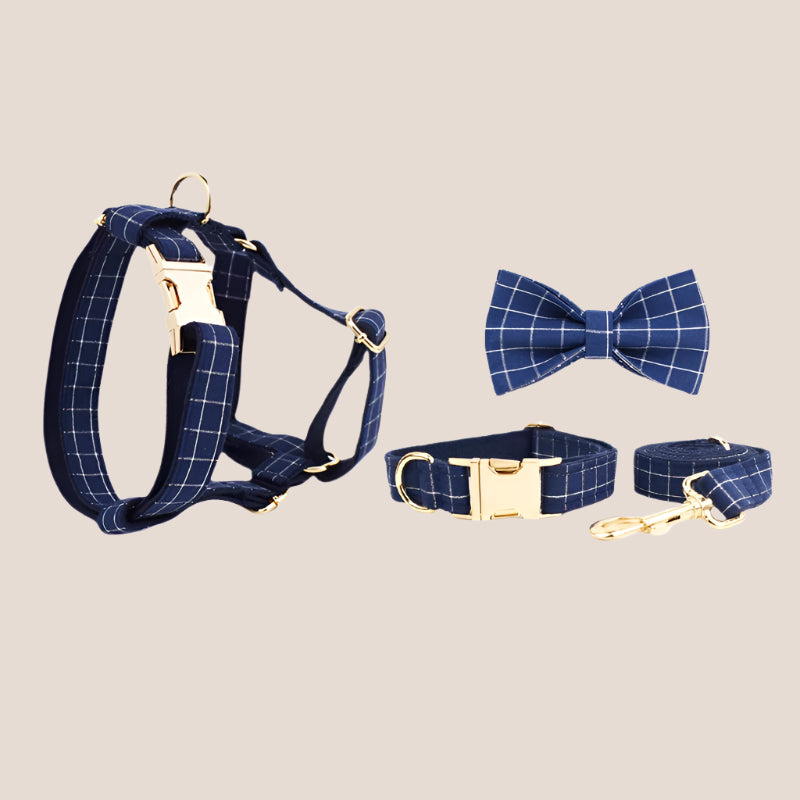 Personalized Pet ID Collar, Harness Leash & Accessories Set Blue Grid