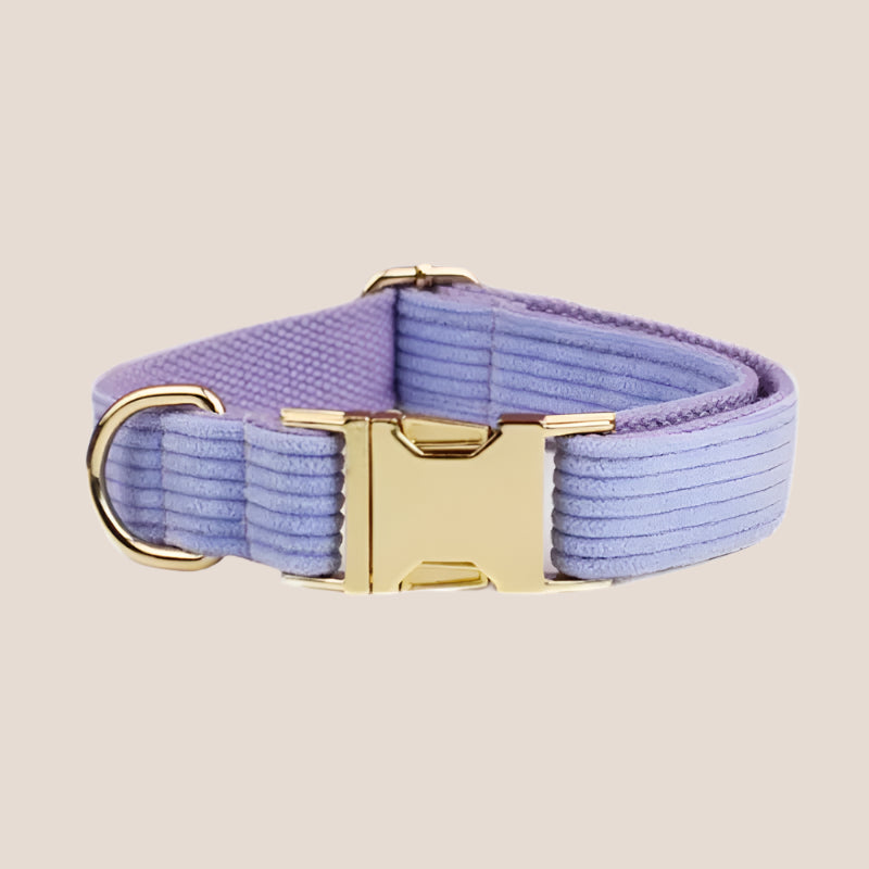 Personalized Pet ID Collar, Harness Leash & Accessories Set Purple Corduroy