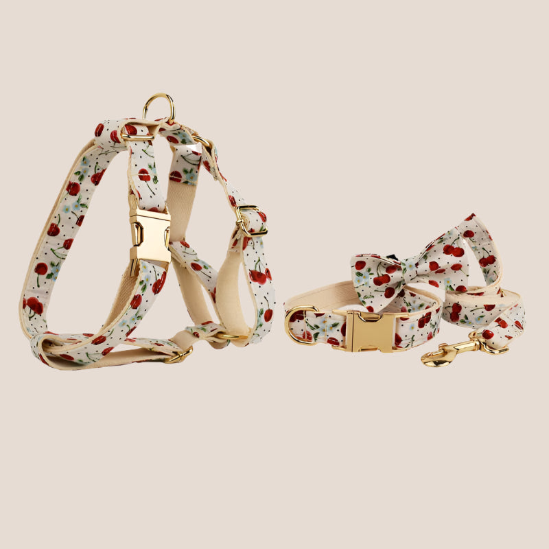 Personalized Pet ID Collar, Harness Leash & Accessories Set Cherry