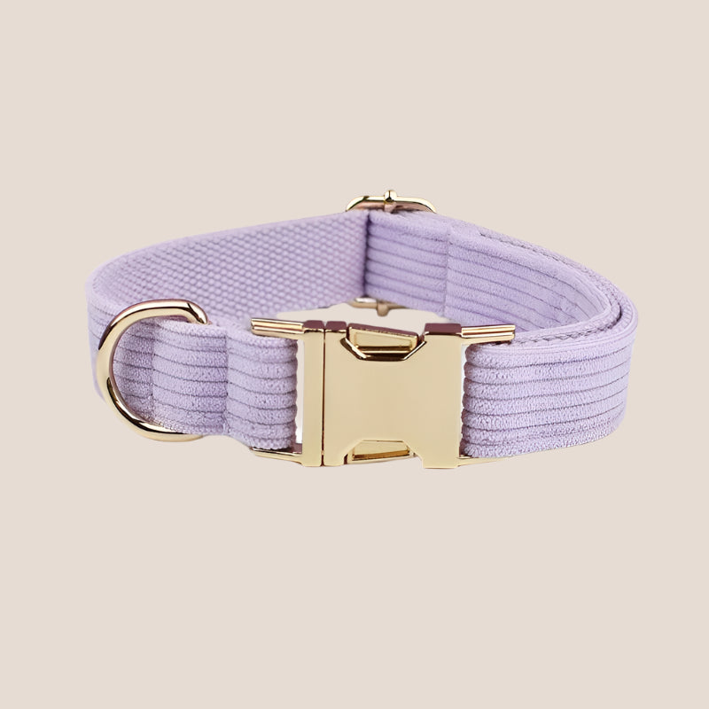 Personalized Pet ID Collar, Harness Leash & Accessories Set Lilac Corduroy