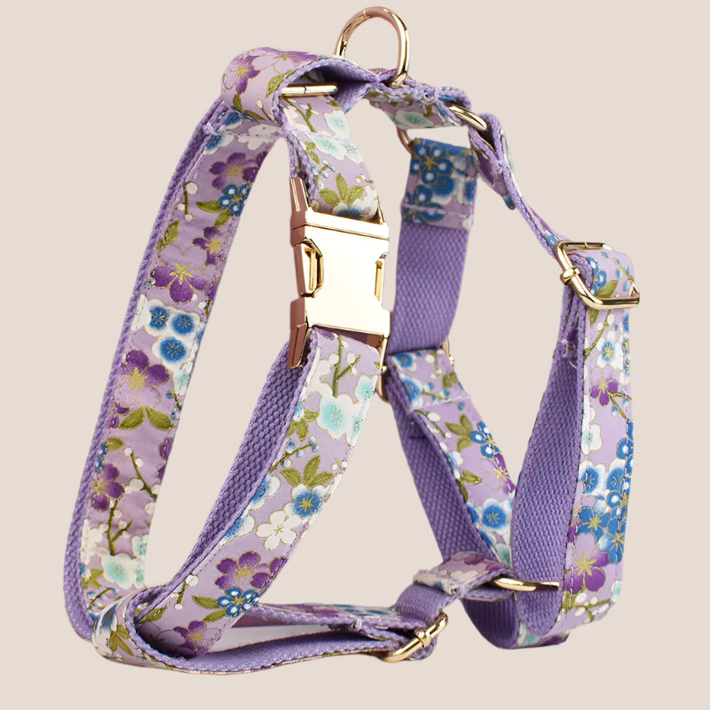 Personalized Pet ID Collar, Harness Leash & Accessories Set Purple Floral