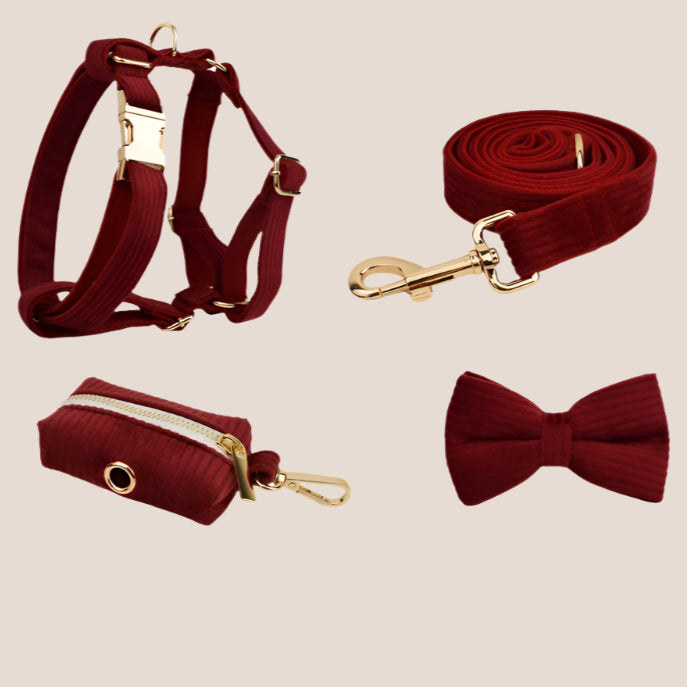 Personalized Pet ID Collar, Harness Leash & Accessories Set Maroon Corduroy