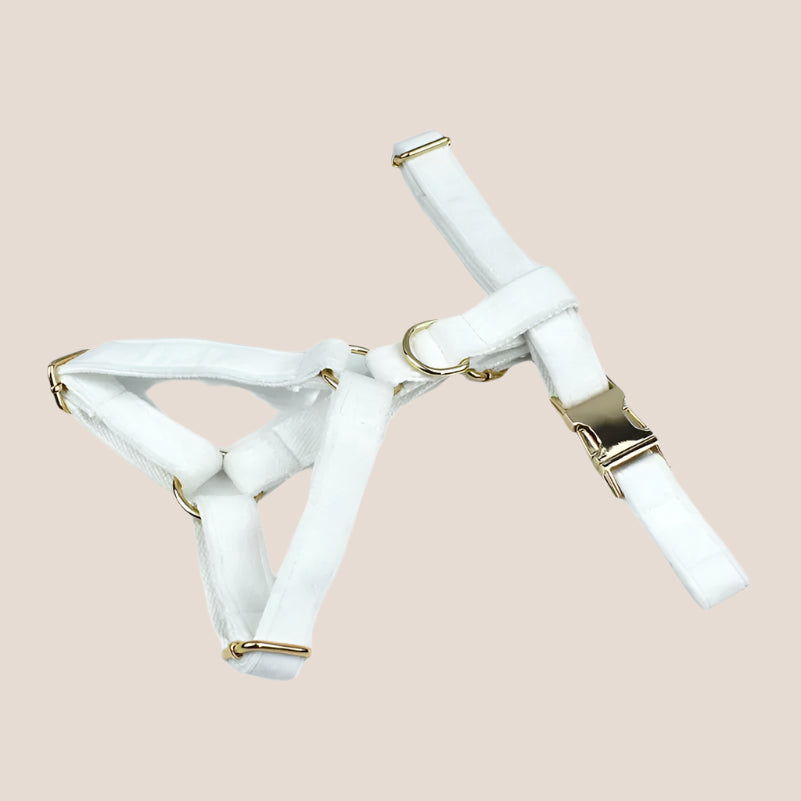 White Velvet Engraved Pet Set