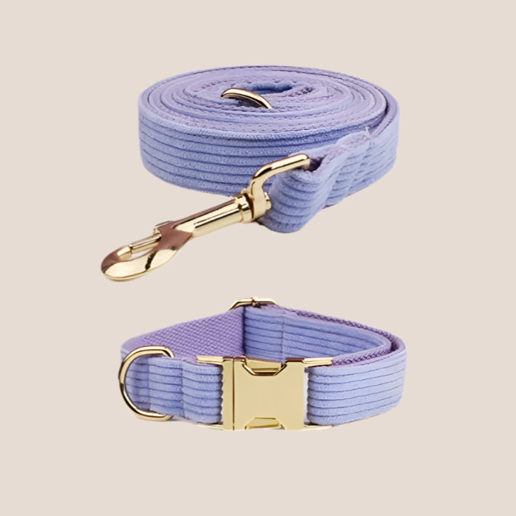 Personalized Pet ID Collar, Harness Leash & Accessories Set Purple Corduroy