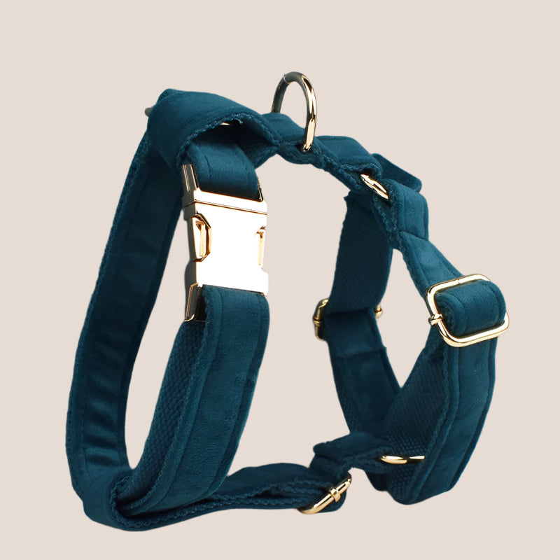 Ocean Blue Velvet Engraved Pet Set