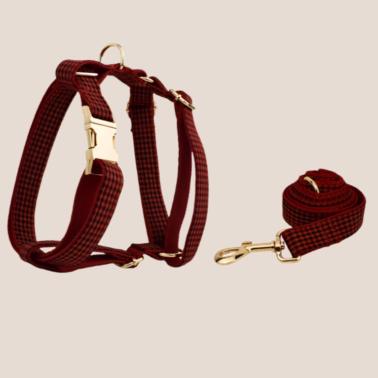 Personalized Pet ID Collar, Harness Leash & Accessories Set Red Checker