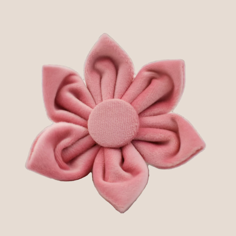 Baby Pink Velvet Engraved Pet Set