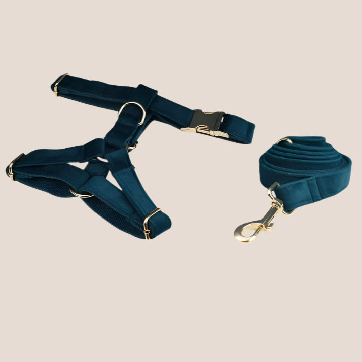 Ocean Blue Velvet Engraved Pet Set