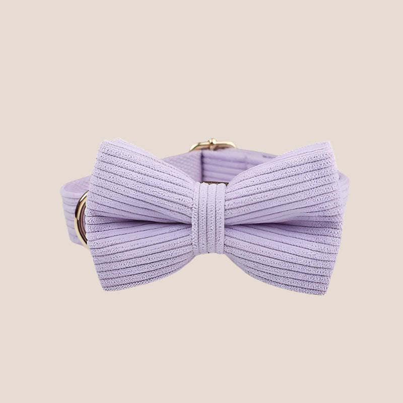Personalized Pet ID Collar, Harness Leash & Accessories Set Lilac Corduroy