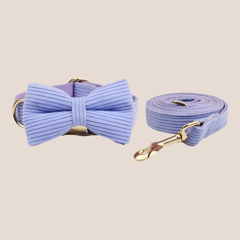 Personalized Pet ID Collar, Harness Leash & Accessories Set Purple Corduroy