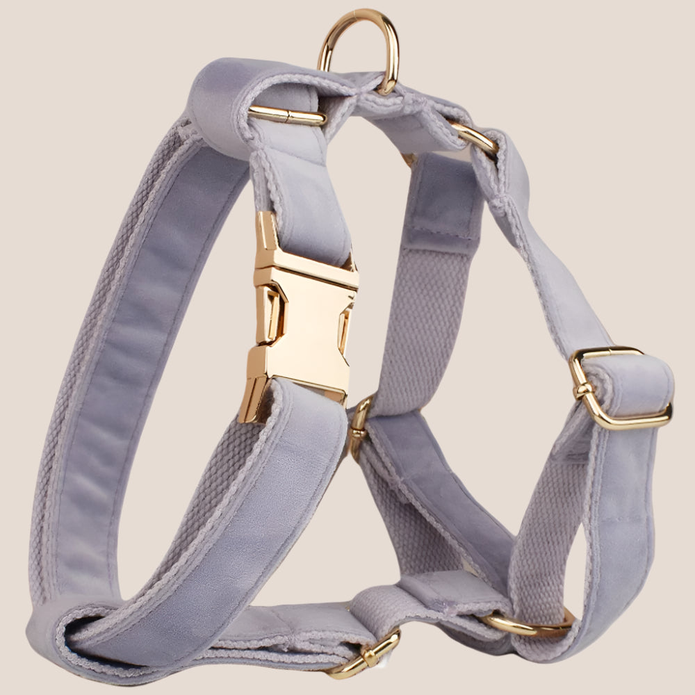 Personalized Pet ID Collar, Harness Leash & Accessories Set Lilac Velvet