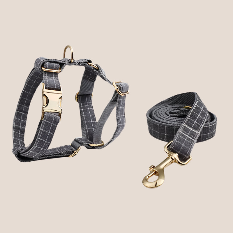 Personalized Pet ID Collar, Harness Leash & Accessories Set Grey Grid