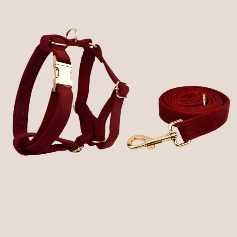 Personalized Pet ID Collar, Harness Leash & Accessories Set Maroon Corduroy