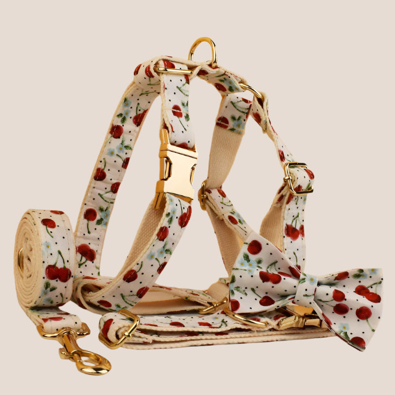 Personalized Pet ID Collar, Harness Leash & Accessories Set Cherry
