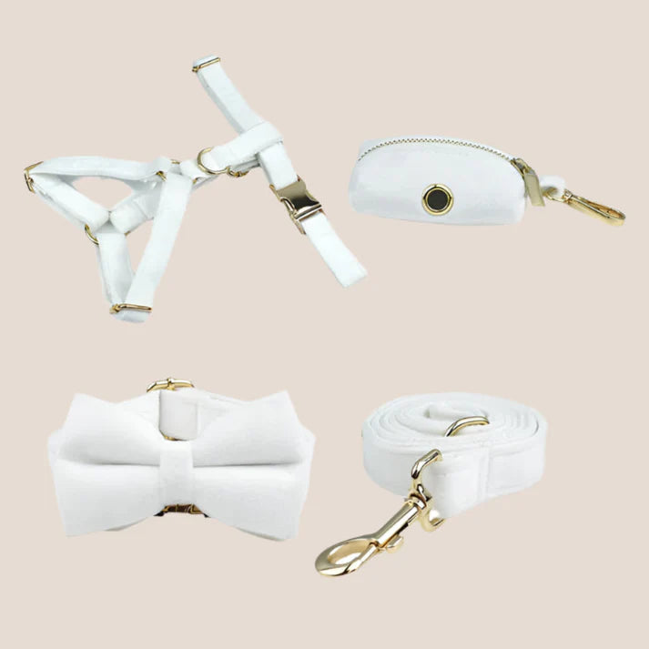 White Velvet Engraved Pet Set