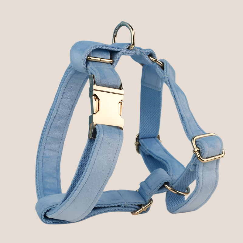 Personalized Pet ID Collar, Harness Leash & Accessories Set Light Blue Velvet