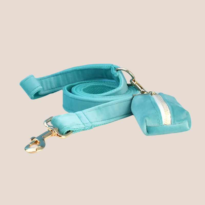Turquoise Velvet Engraved Pet Set