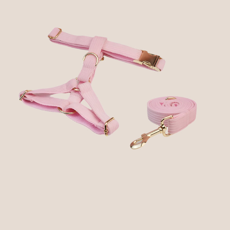 Personalized Pet ID Collar, Harness Leash & Accessories Set - Pink Corduroy