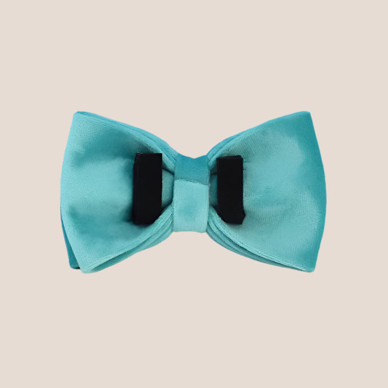 Turquoise Velvet Engraved Pet Set
