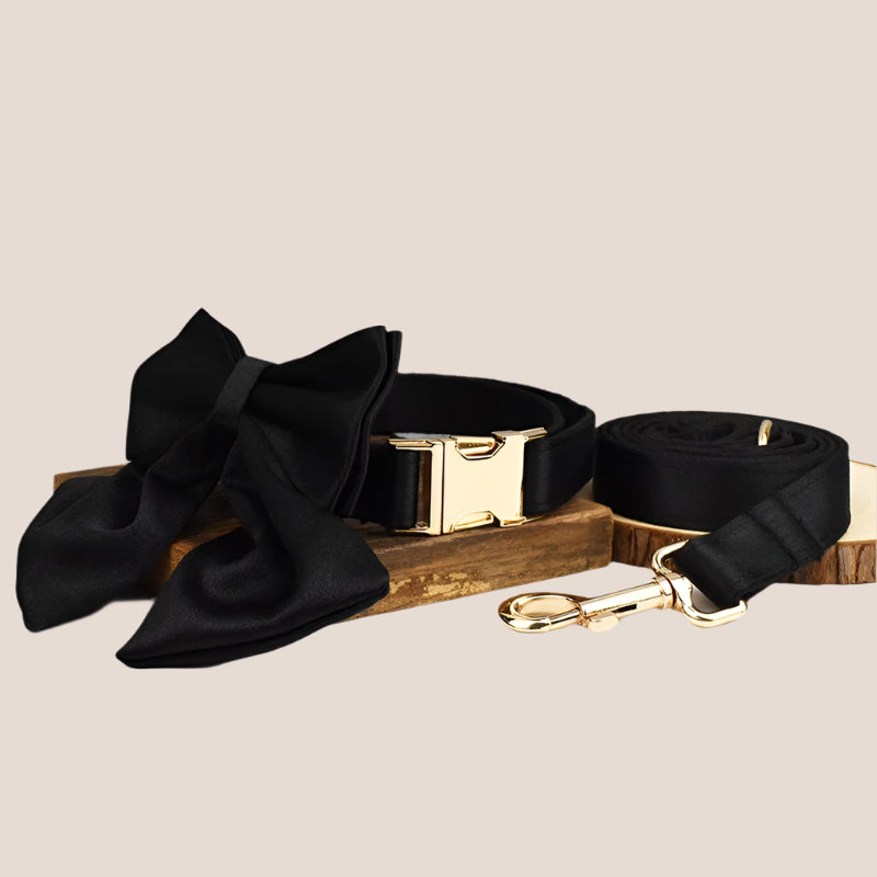 Personalized Pet ID Collar, Harness Leash & Accessories Set Black Satin