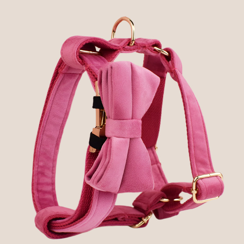 Dark Pink Velvet Engraved Pet Set