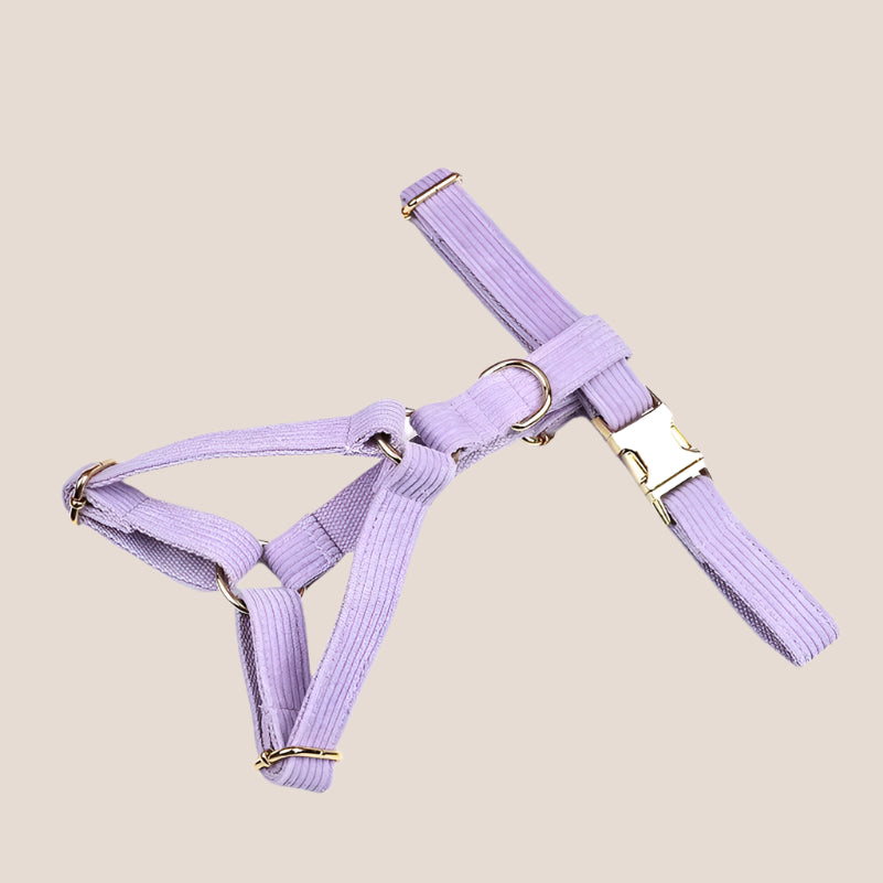 Personalized Pet ID Collar, Harness Leash & Accessories Set Lilac Corduroy