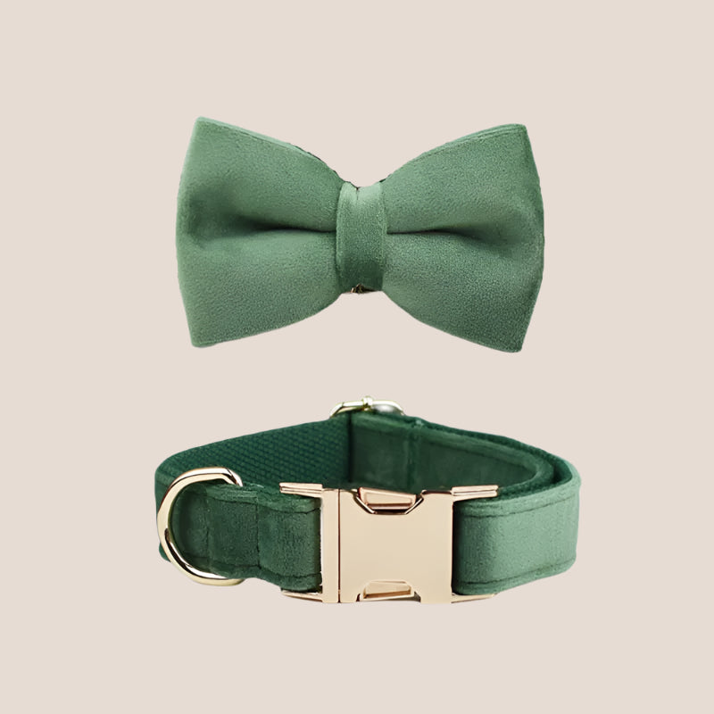Forest Green Velvet Engraved Pet Set