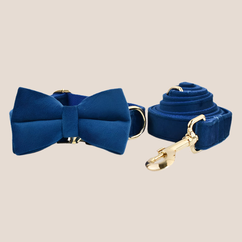Royal Blue Velvet Engraved Pet Set