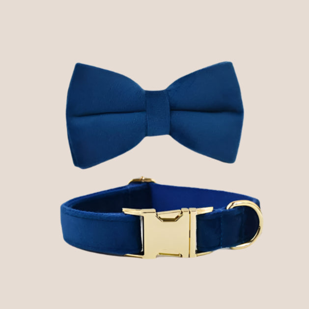 Royal Blue Velvet Engraved Pet Set