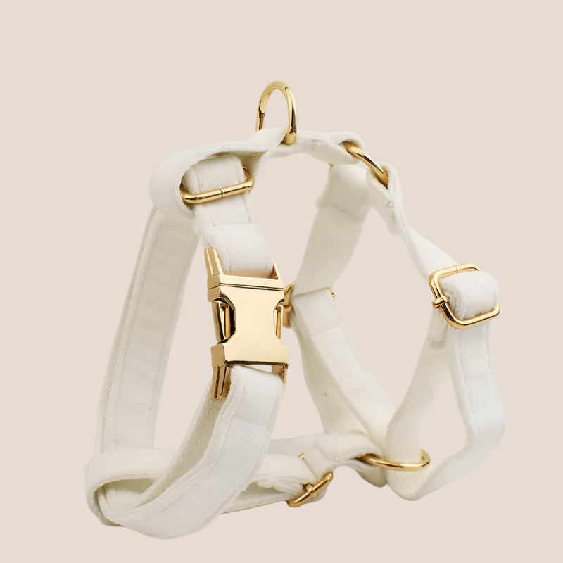 White Velvet Engraved Pet Set