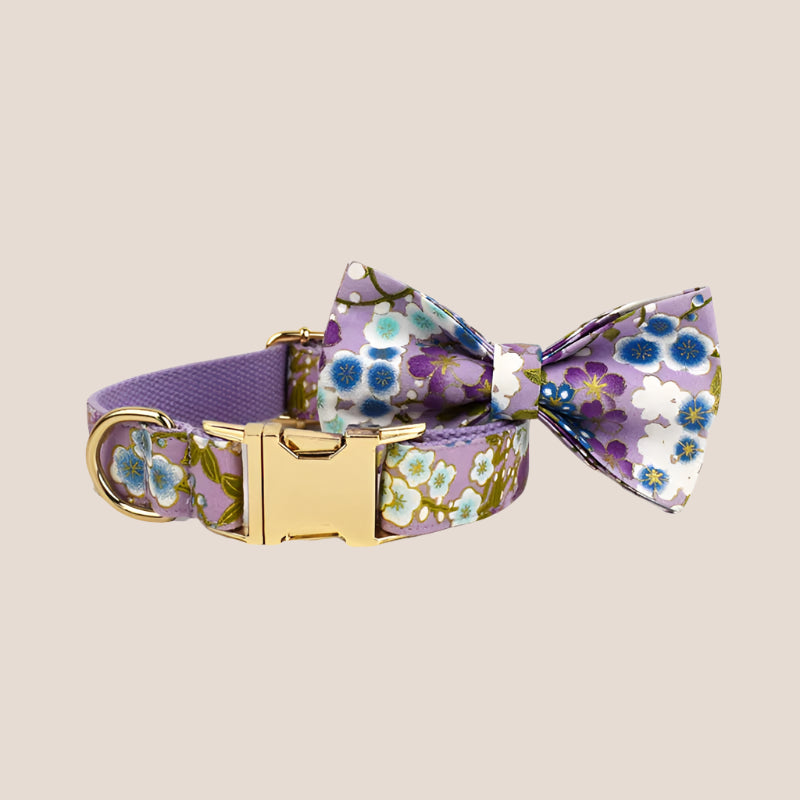 Personalized Pet ID Collar, Harness Leash & Accessories Set Purple Floral