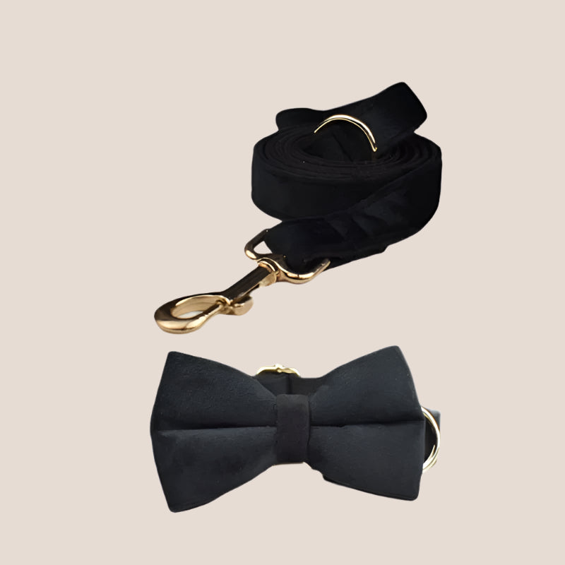 Black Velvet Engraved Pet Set