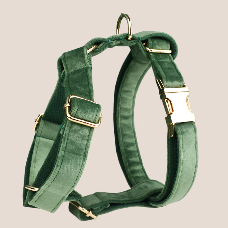 Forest Green Velvet Engraved Pet Set