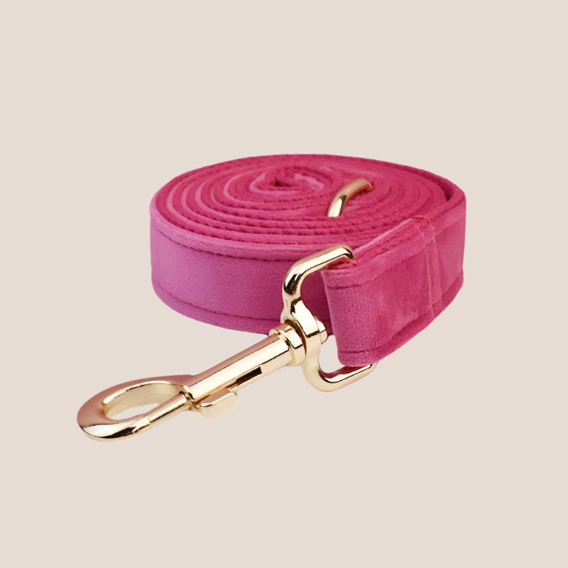 Dark Pink Velvet Engraved Pet Set