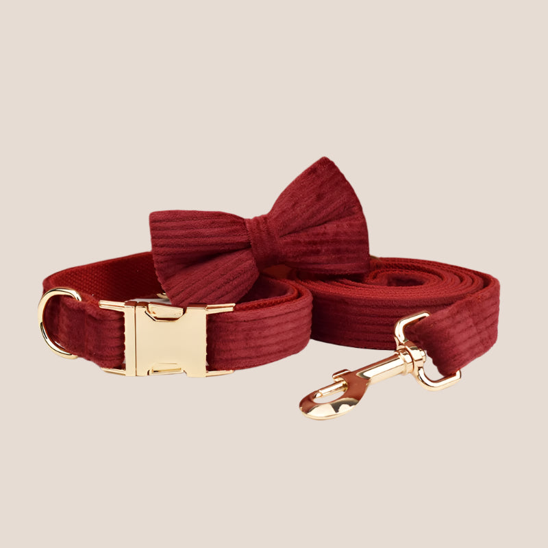 Personalized Pet ID Collar, Harness Leash & Accessories Set Maroon Corduroy