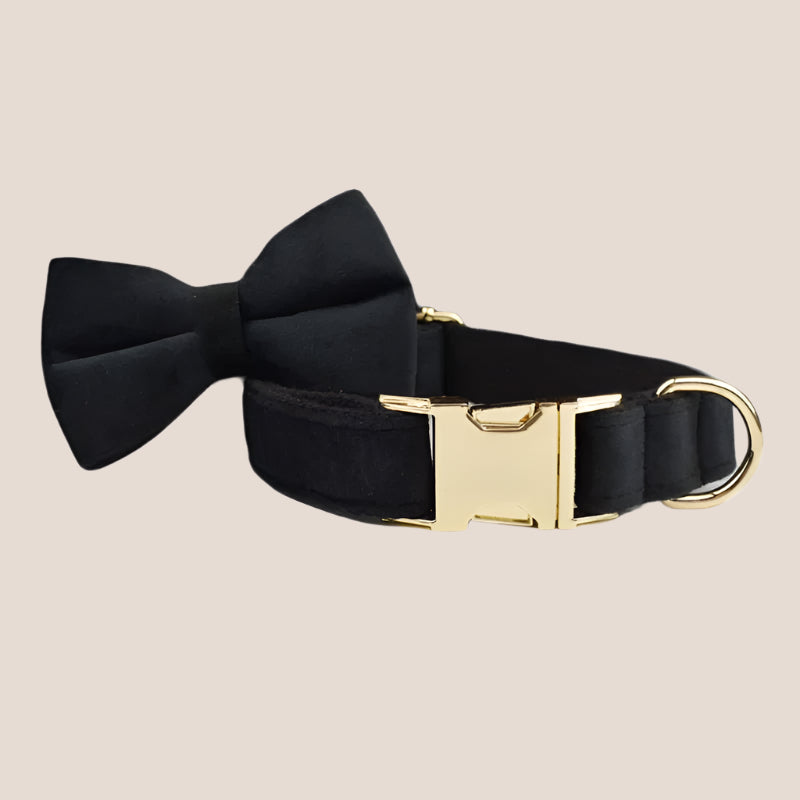 Black Velvet Engraved Pet Set