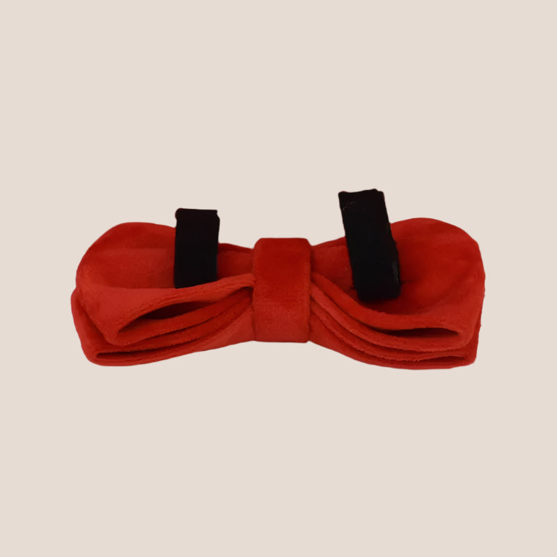 Red Velvet Engraved Pet Set