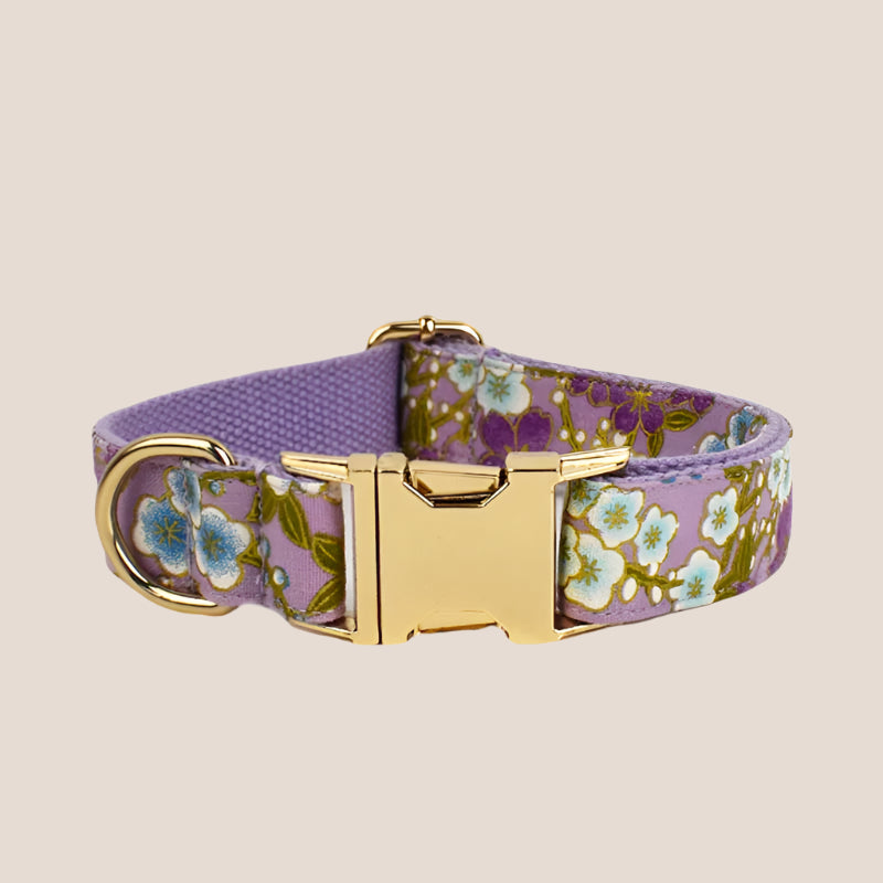 Personalized Pet ID Collar, Harness Leash & Accessories Set Purple Floral