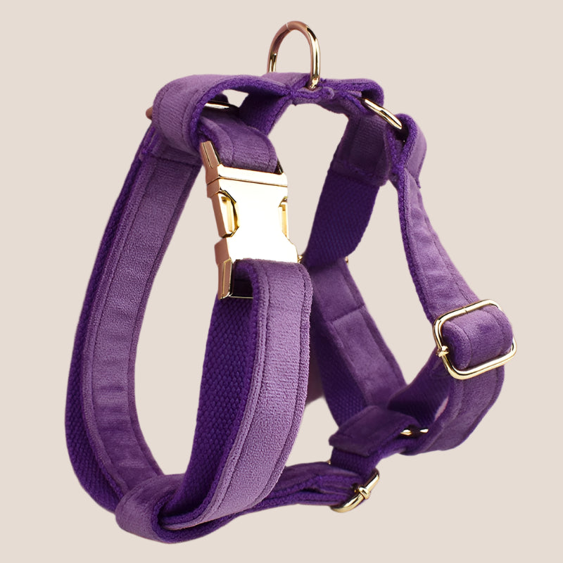 Purple Velvet Engraved Pet Set