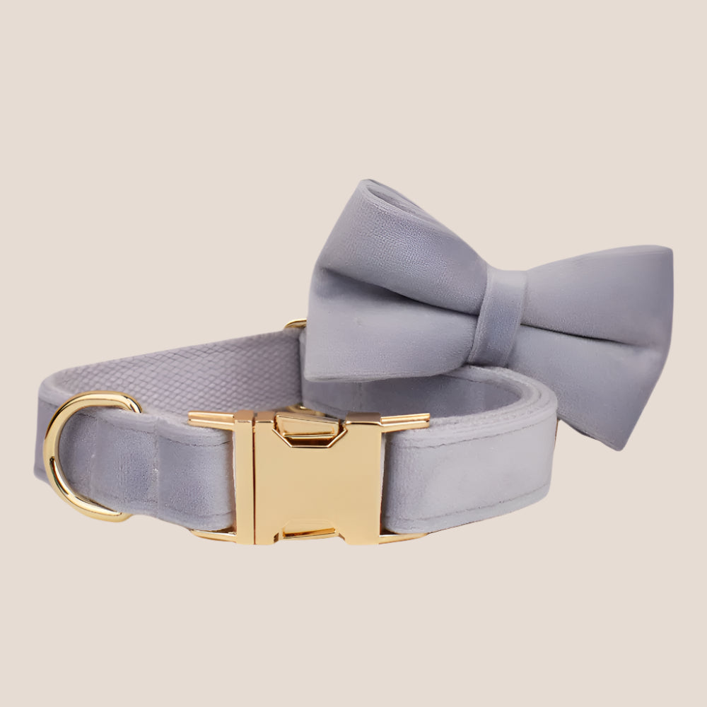 Personalized Pet ID Collar, Harness Leash & Accessories Set Lilac Velvet