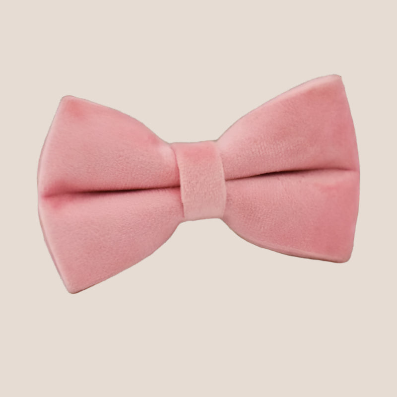 Baby Pink Velvet Engraved Pet Set