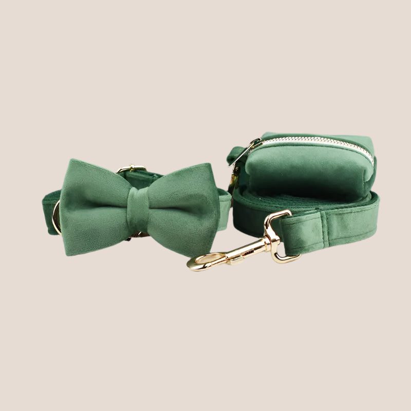 Forest Green Velvet Engraved Pet Set