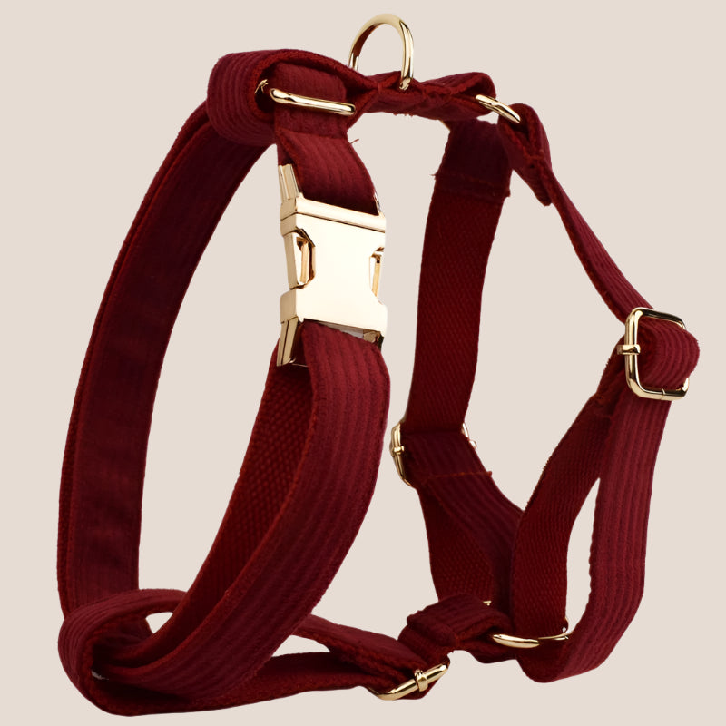 Personalized Pet ID Collar, Harness Leash & Accessories Set Maroon Corduroy