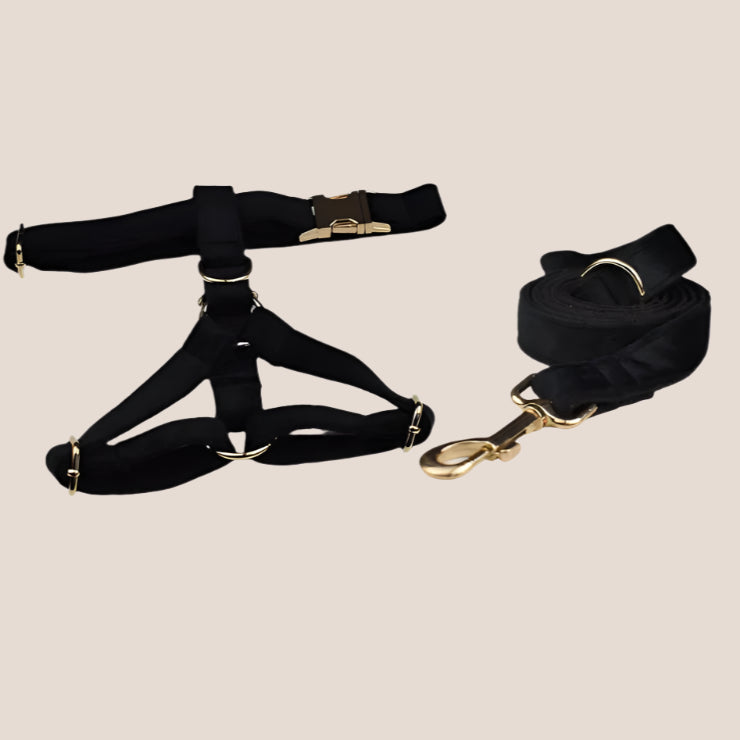Black Velvet Engraved Pet Set